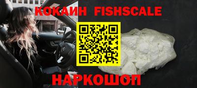 a pvp Камышлов