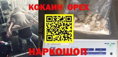 jwh Кандалакша