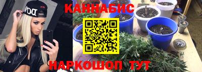 jwh Кандалакша